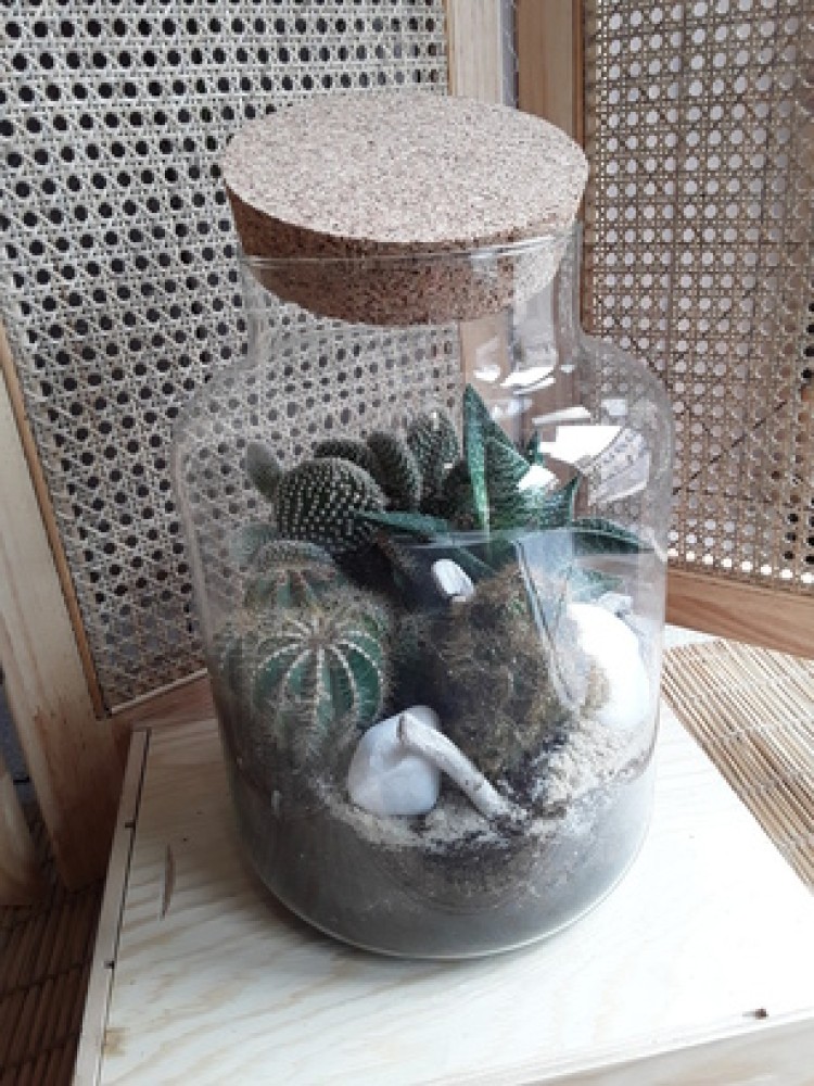 7 - Bonbonne de plantes 80.jpg