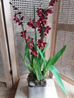 6 - Orchidée et son cache-pot 45.jpg